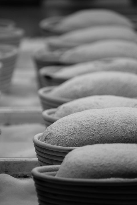 Specialized Bakery
